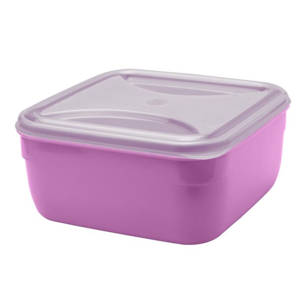 Organizador Quadrado Lilás 2,5L c/ Tp Transp.