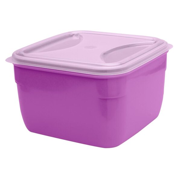 Organizador Quadrado Lilás 3,5L c/ Tp Transp.